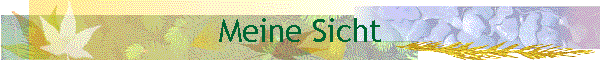 Meine Sicht