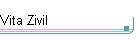 Vita Zivil