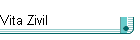 Vita Zivil